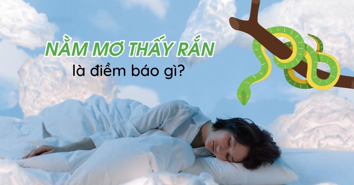 Tại Sao Chúng Ta Lại Mơ Thấy Rắn?